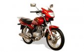 2008 Izuka T125S photo